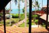 Coconut Paradise 